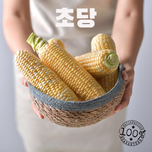 보성 꿀맛 초당옥수수(맛과 품질을 보장합니다), 1박스, 20개