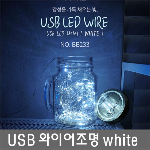 BB233 White 파티엔 무궁무진 활용 LED 와이어, 1Ea