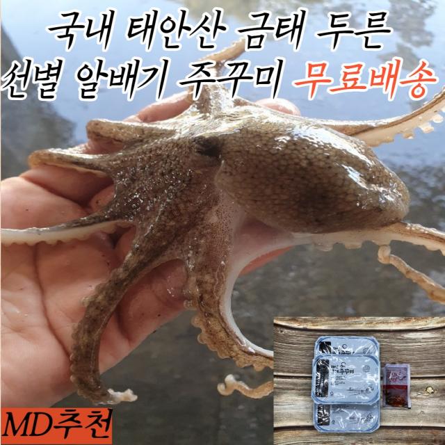 태안 금태 두른 국내산 알배기 봄 주꾸미 900g 초특가 판매/ 알배기 선별/ 4월 조업 급냉/ 제철주꾸미, 태안 주꾸미 900g/알배기/ 급냉