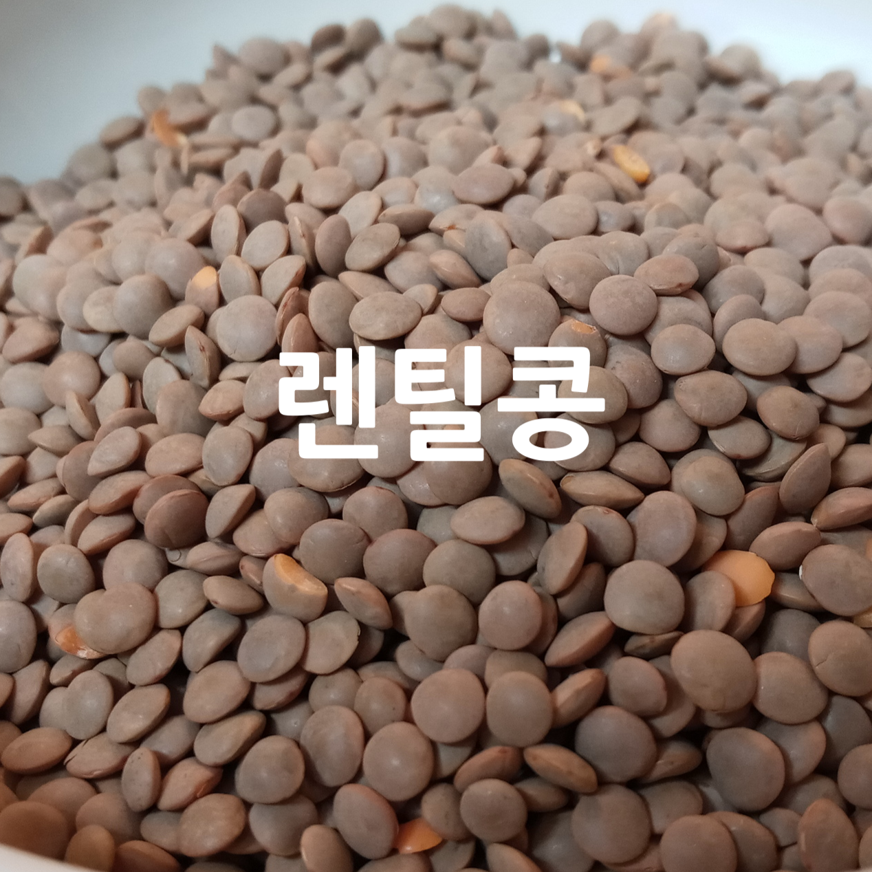 [후계자농산]수입 캐나다산 렌틸콩 렌즈콩 500g 1kg 먹는법 효능