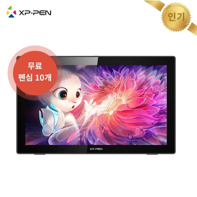 [본사 직판 정품 펜심 10매 소프트웨어 증정]엑스피펜 XP-PEN Artist 22(2세대) 액정타블렛 C타입 연결 60도 틸트기능 8192필압(22인치 인기모델), Artist22 (2세대)