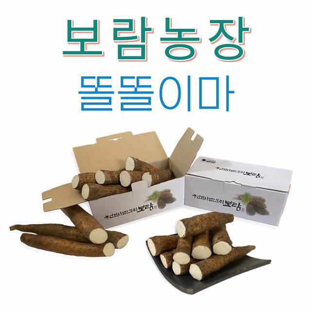 안동 보람농장 똘똘이마 참마 생마 장마 산마 꼬다마 마 2kg, 꼬다마 2kg, 저칼로리/한입 간식용, 박스포장