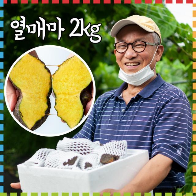 해원농장 열매마 하늘마 하늘열매마 1kg 5kg 마 판매 가격 씨앗 열매 1박스 2kg