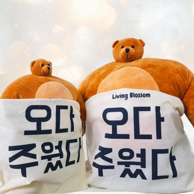 소두곰 인형 곰동석 ty베어 어깨깡패 웃긴 인싸템 선물 27cm, 소두곰-27cm