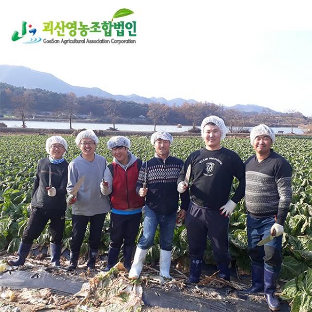 괴산절임배추 100박스 한정특가!! [괴산영농조합법인] 정품 괴산절임배추 국내산 천일염 버블세척 20kg, 01월12일금도착