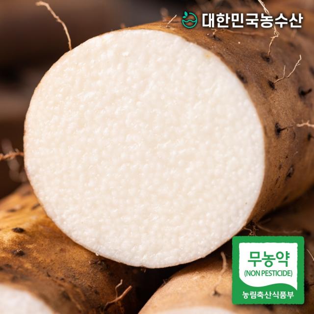 대한민국농수산 국내산 마 2kg