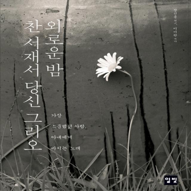 외로운 밤 찬 서재서 당신 그리오:가장 소중했던 사람 아내에게 바치는 노래 일빛