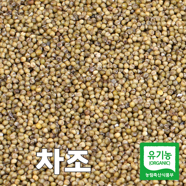 산들바람 2019산 국산 유기농 차조 500g, 단일상품