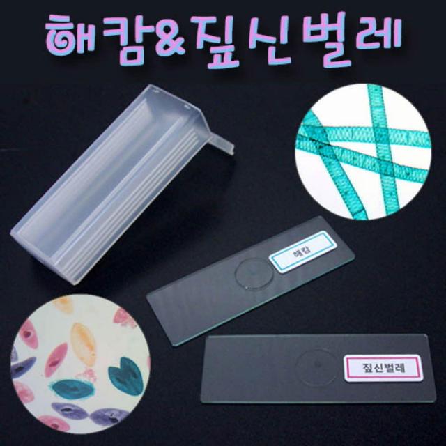 [C.L] 해캄짚신벌레 프레파라트 2종 세트 과학키트 과 만들기세트 어린이집 과학키트 유치원 교구