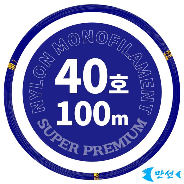 갈치기둥줄 자작 부드러운경심줄 40호블루 100m HCMNM