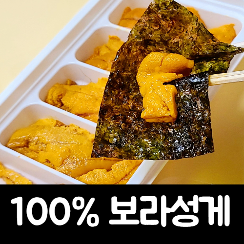 성게알 우니 생물 급냉 냉동 보라성게 100g 300g 500g, A급보라성게100g