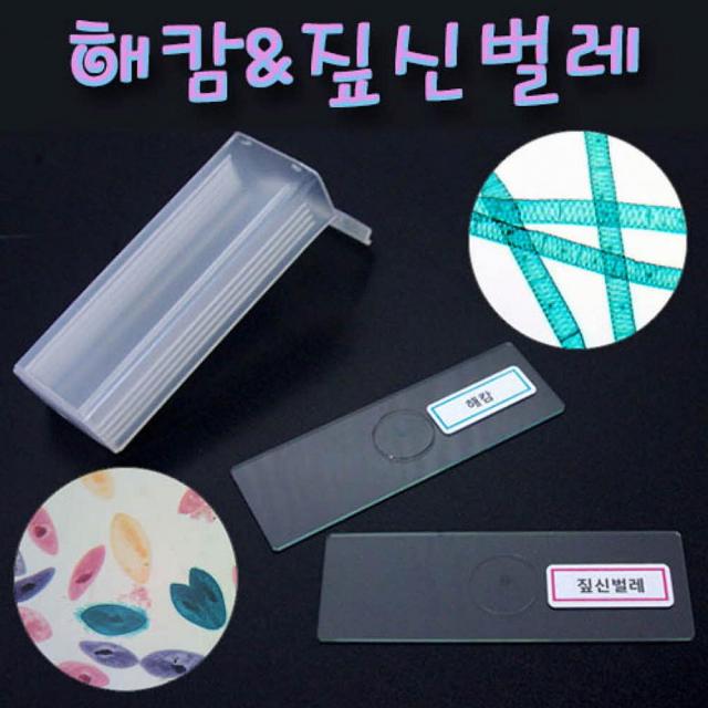 승리마트 h70 HM 해캄&짚신벌레 프레파라트 2종 세트 반품 불가 상품 생물실험세트