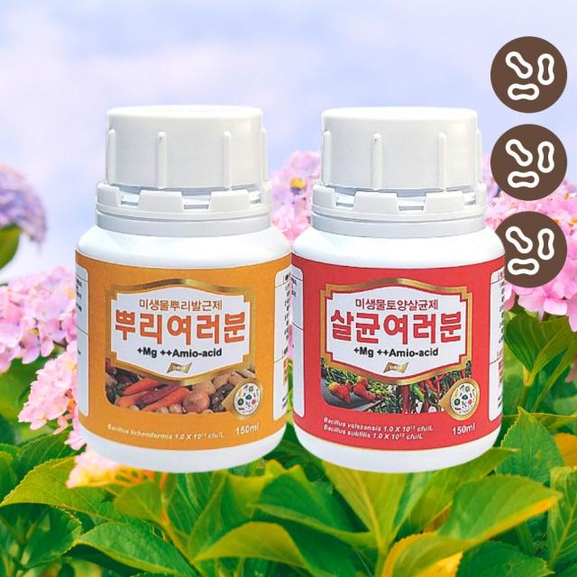 뿌리여러분 150ml 1개 바실러스 미생물 뿌리 발근제