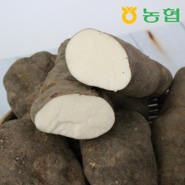 삼촌밥먹자 북안동농협 국산 안동 산마(상) 3kg/5kg, 산마 (상)3kg