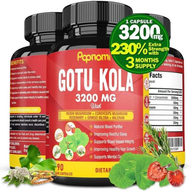 직구 Ginkgo Biloba Gotu 콜라 추출물 캡슐 3200mg Reishi 동충하초 로즈마리 은행 나무 빌 로바 발레리 안 | 집중 지원 정신 명확성 | 스트레스, 1set, 1set, 1set