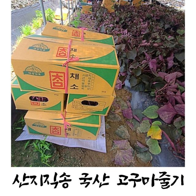 (산지직송) 신선한 국내산 꿀 고구마줄기, (할인가) 2kg