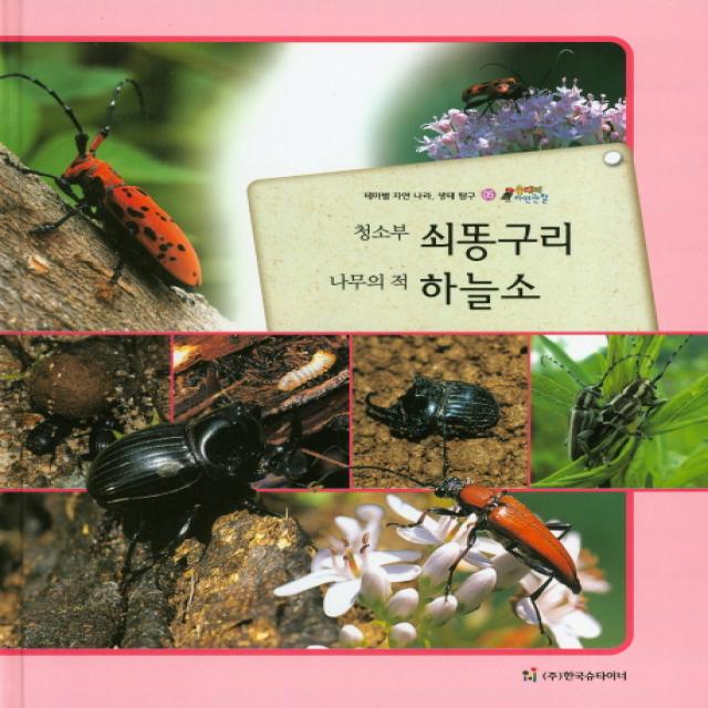 청소부 쇠똥구리 나무의 적 하늘소:테마별 자연 나라 생태 탐구, 한국슈타이너