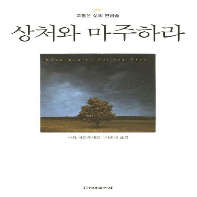 상처와 마주하라:고통은 삶의 연금술 청아출판사