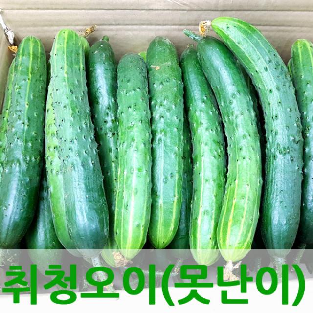 자체브랜드 싱싱한 오이, 오이3kg(보통)