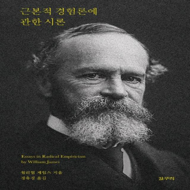 근본적 경험론에 관한 시론, 갈무리