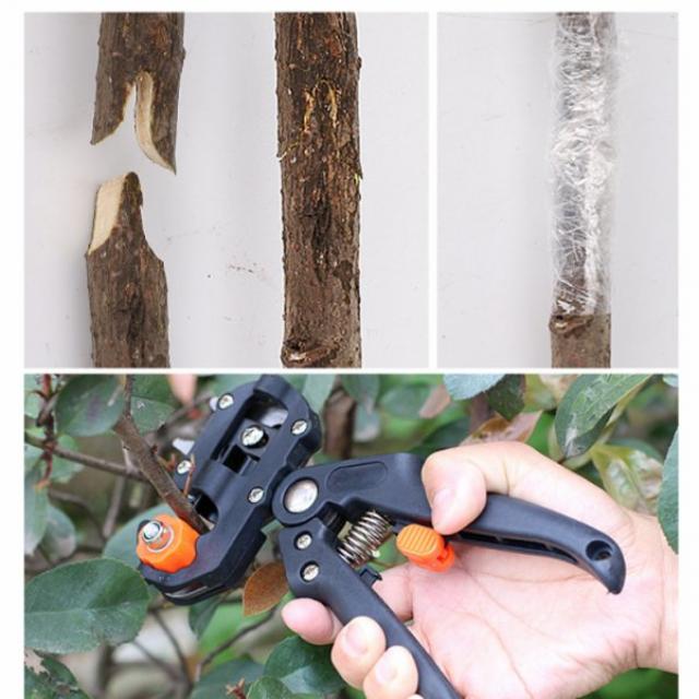 접목가위 접목테이프 원예가위 전지가위, 접목가위+접목테이프