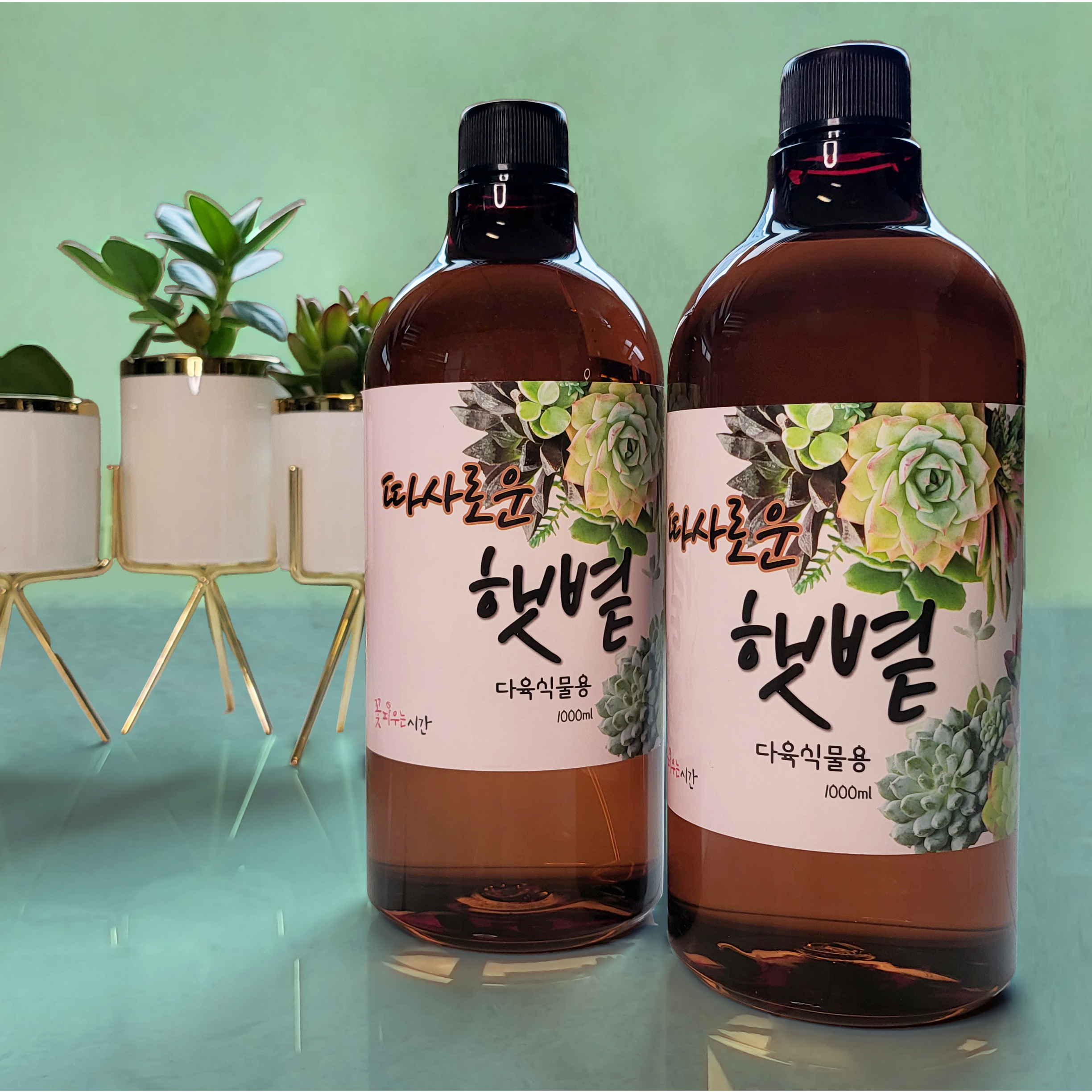 꽃피우는시간 식물영양제 다육이용, 1000ml+1000ml