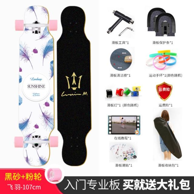 롱보드 한강 스케이트보드 입문용 댄싱롱보드, AI.날갯죽
