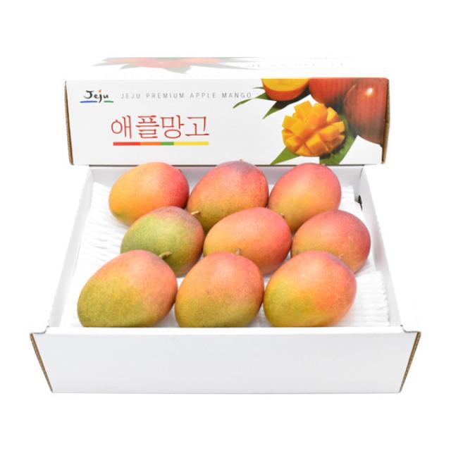 [삼다몰] 제주 애플망고(대) 3kg(9~10과), 상세 설명 참조