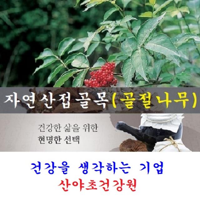 산야초건강원 접골목진액(30일분)70팩 박용복 천기누설 자연산 접골목 말오줌 딱충 골절 나무 뼈 녹각 우슬 닭발 다리 쇠 무릎 진액 즙 탕 복용법 먹는법 부러진데 에 좋은 약초 효능 음식 식품, 70팩, 110ml