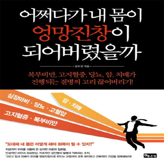 어쩌다가 내 몸이 엉망진창이 되어버렸을까:복부비만 고지혈증 당뇨 암 치매가 진행되는 질병의 고리 끊어버리기, 좋은땅