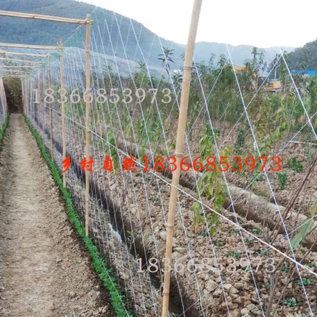 오이망 참외참외채과오이두각 동부두백향과전용망식물등심망재배-33079, 단일옵션, 01.1.8×50m 3주[산약만 적