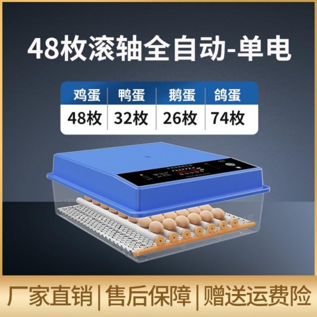 전자동 계란 부화기 자동 다기능 오리 지능형 중소형, 48매 블루  자동 싱글 업그레이드