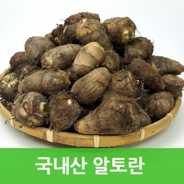 국내산 토란10kg 알토란 웰빙푸드 싱싱지오, 국내산 알토란(보통)10kg