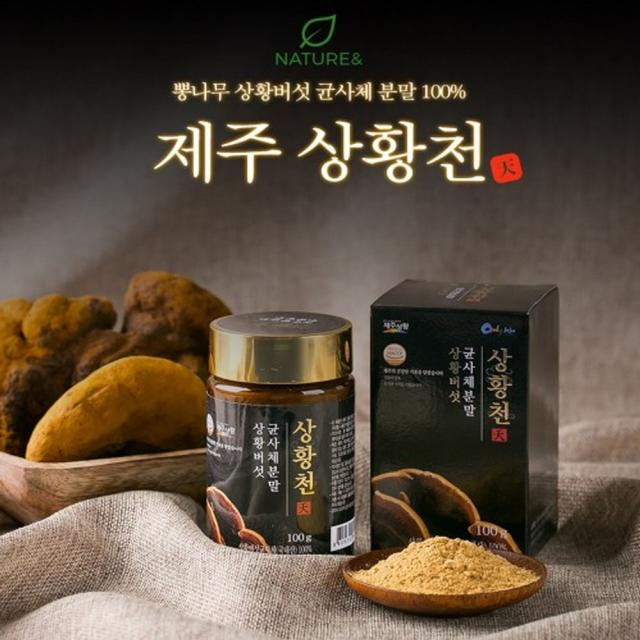 NATURE & 특허 제주 프리미엄 상황천 뽕나무 상황버섯 균사체 분말 100% 10병 국산 받은기술력으로배양 믿을수있는기술력 품질 면역력 무농약 베타글루칸 폴리페놀 무색소 무첨가 FDA통과 목질진훍버섯 나물 찌개 효능 효과 건강식품, 100g