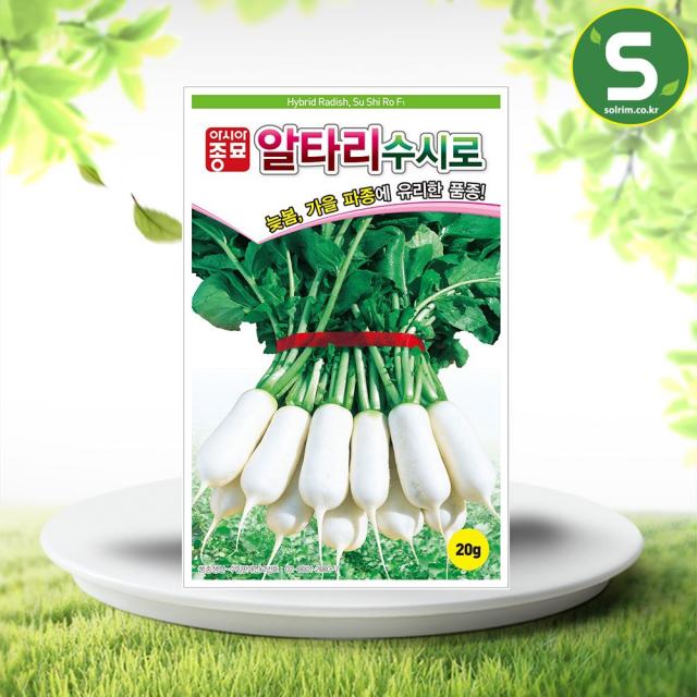 솔림텃밭몰 알타리무씨앗 20g 수시로알타리 사계절 수시로 가능, 단품