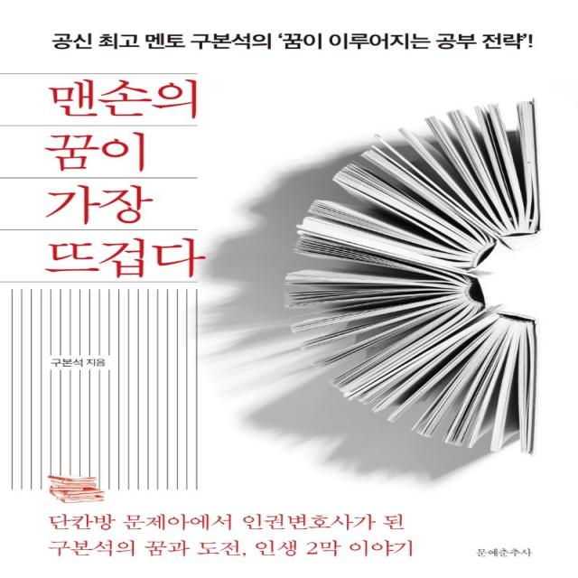 맨손의 꿈이 가장 뜨겁다:단칸방 문제아에서 인권변호사가 된 구본석의 꿈과 도전 인생 2막 이야기 문예춘추사 구본석