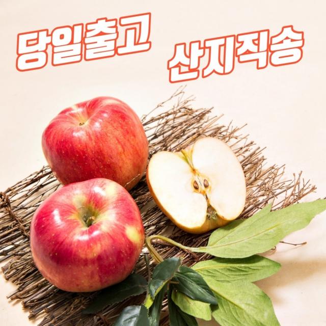 껍질째먹는 당도높은 사과 맛있는곳 유명한곳 흠집 흠과 못난이 알뜰 보조개 5키로 10키로 5kg 10kg 한박스