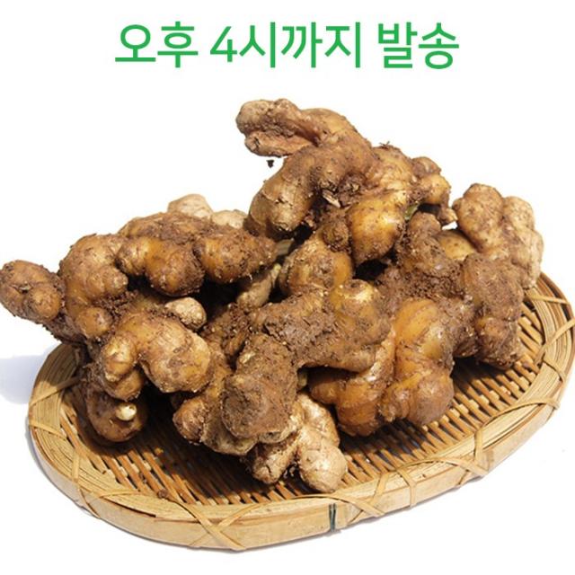 빛고을장터 국내산 생강 수입세척생강 10kg내외 대용량 1box 02_수입세척생강 10kg내외