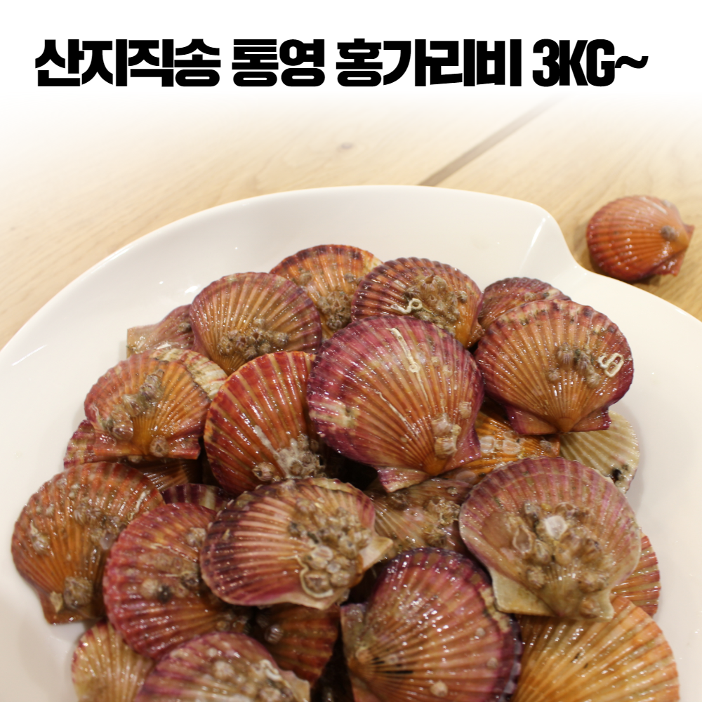 통영 홍 가리비 세척 햇가리비 조개구이 가리비찜 제철 해산물 3kg 4kg 5kg, 통영 홍가리비 3kg