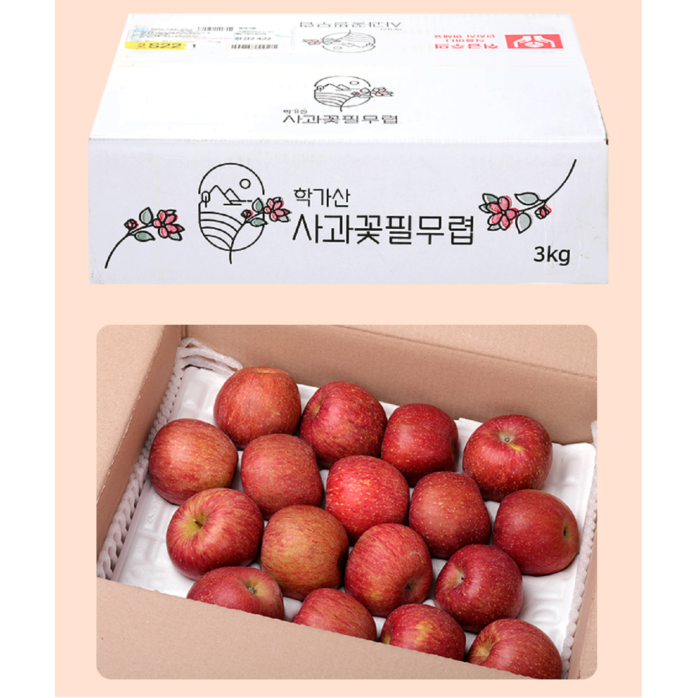 경북 안동 새콤 달콤 꼬마사과 3kg And 5kg 학가산 사과꽃필무렵 3kg 17~21과