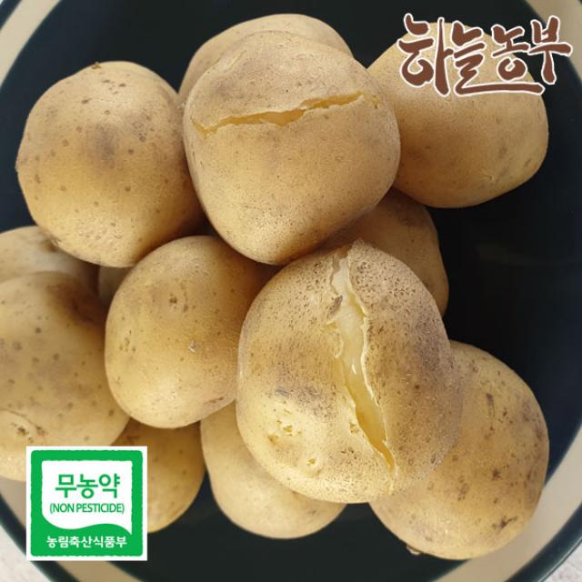 하늘농부 친환경 포슬포슬 감자 1kg 22년 햇감자, 1봉, 감자 1kg