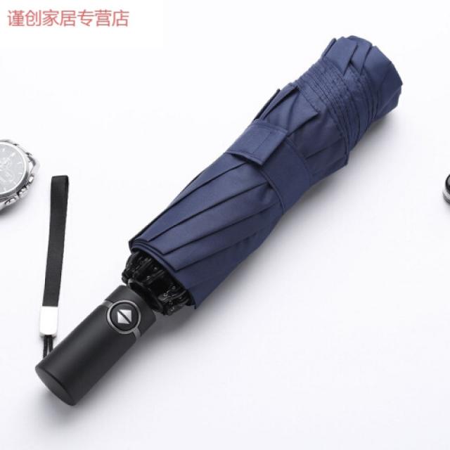 10 골전 자동 우산 접기 남자 여자 반향 우산 차재차 큰 호 선비 쌍쌍 양용 양(10)