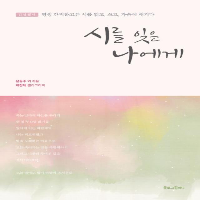 시를 잊은 나에게:감성 필사 | 평생 간직하고픈 시를 읽고, 쓰고, 가슴에 새기다, 북로그컴퍼니