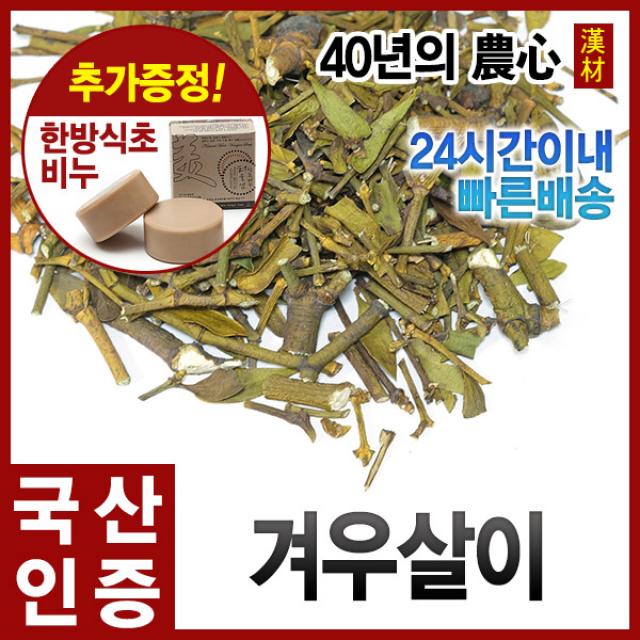 겨우살이300g 참나무 곡기생 국내산 강원도영월 단품