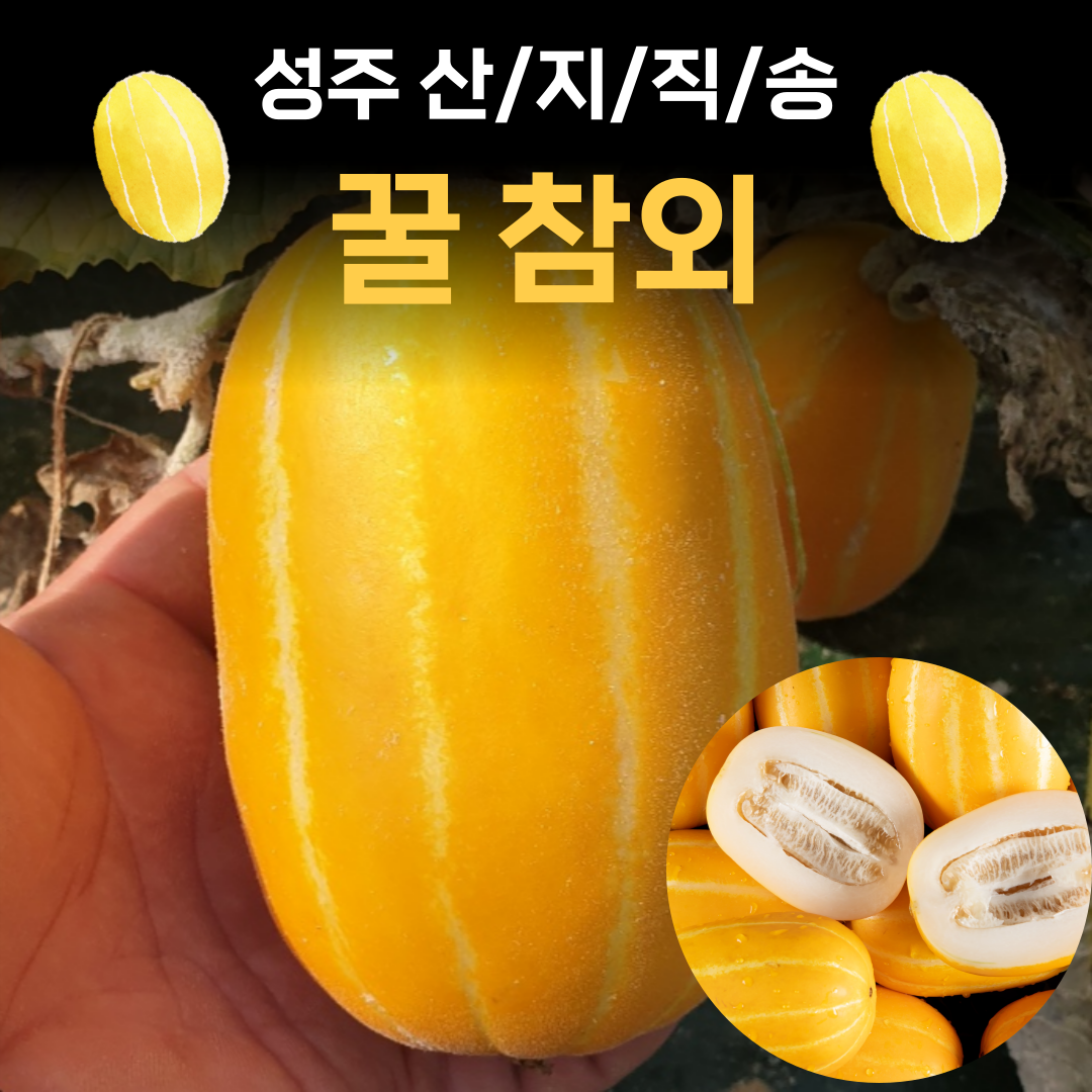 산지직송 정품 성주 참외 햇 가정용 선물용 특품 2kg 3kg 4kg 5kg 소과 중과 대과 혼합과 백화점 박스포장 정품