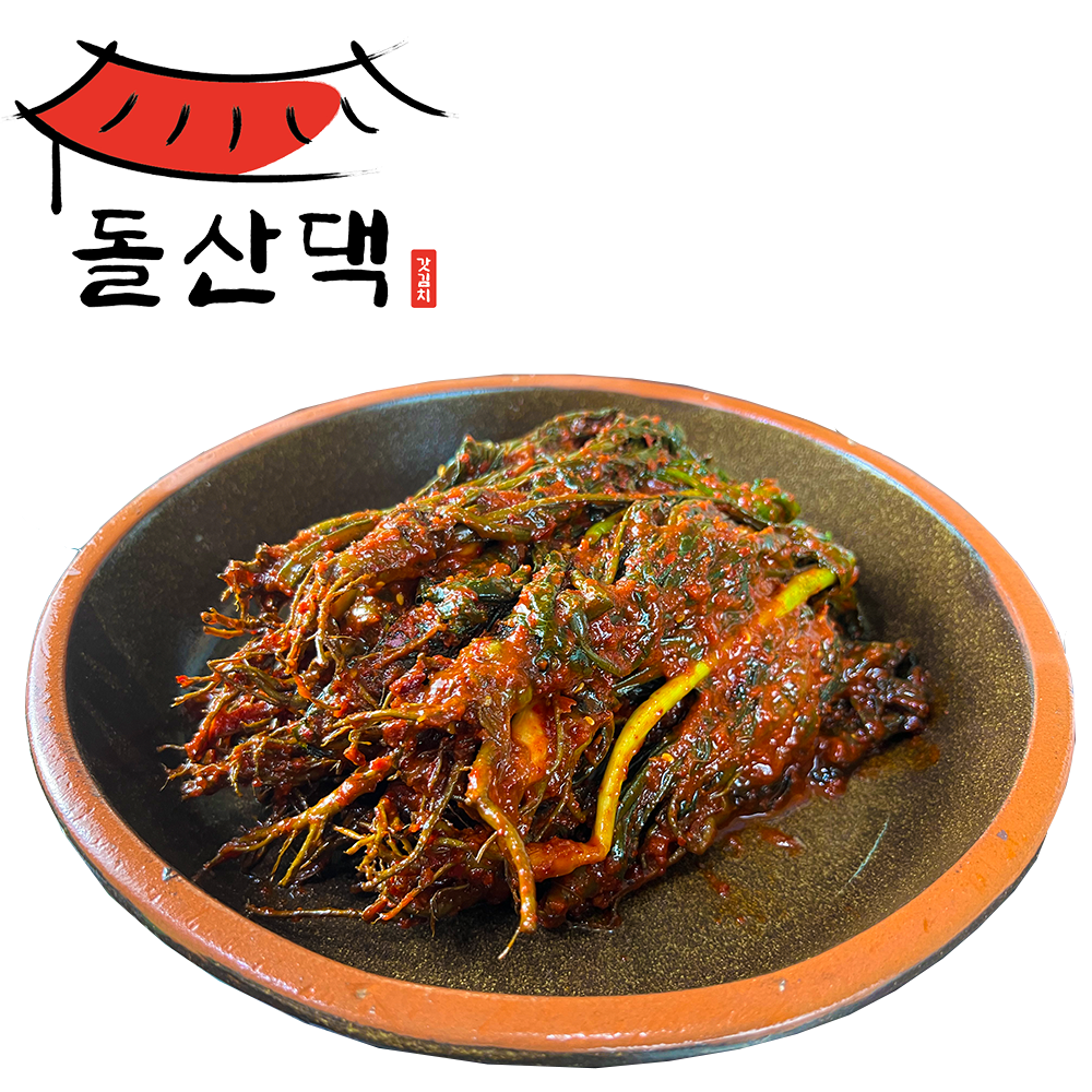 돌산댁 햇고들빼기 여수돌산 당일제조 2Kg, 고들빼기2kg