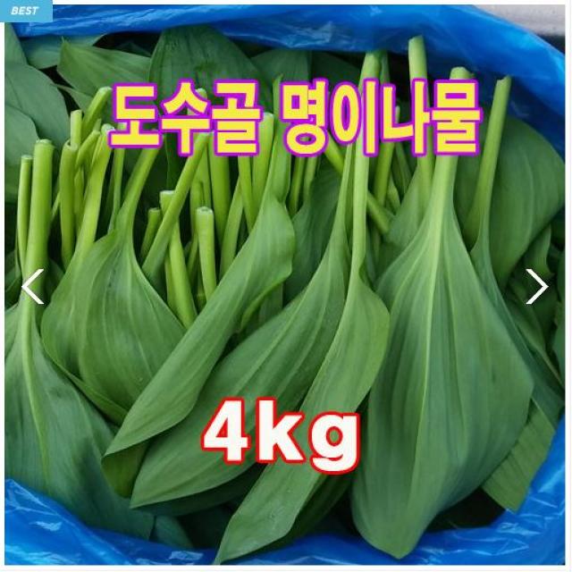 도수골대명이 4kg 산마늘 생명이나물 산지직송 짱아찌재료 울릉도명의 명이나물