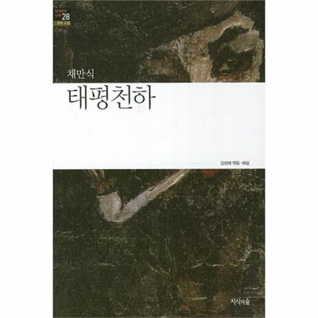 웅진북센 태평천하 28 한국 문학 산책