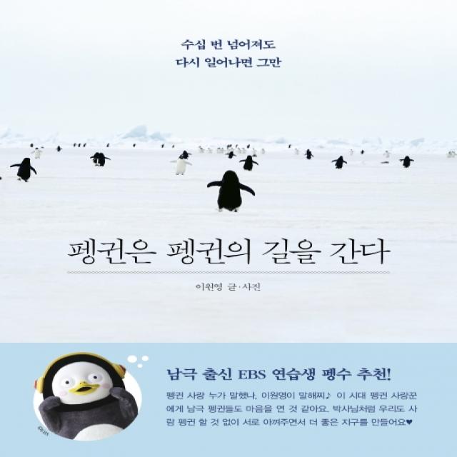 펭귄은 펭귄의 길을 간다:수십 번 넘어져도 다시 일어나면 그만, 위즈덤하우스