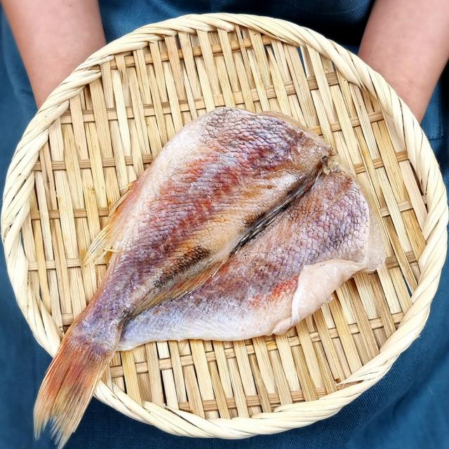 속초 반건조 생선 가자미(소.중.대) 열기(볼락) 임연수 민어 박대 오징어 선택구매, 두절열기(볼락) 4마리(대 25cm/230g)